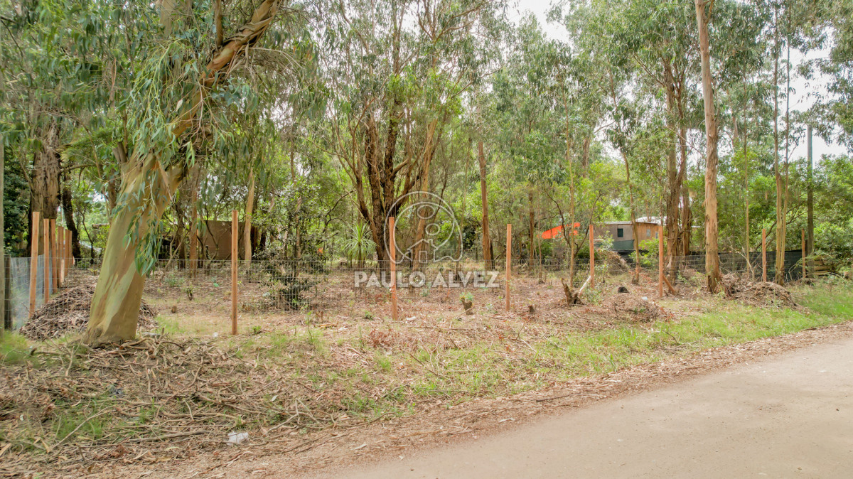 Punta Negra - GoPunta - Portal Inmobiliario de Punta del Este - Maldonado