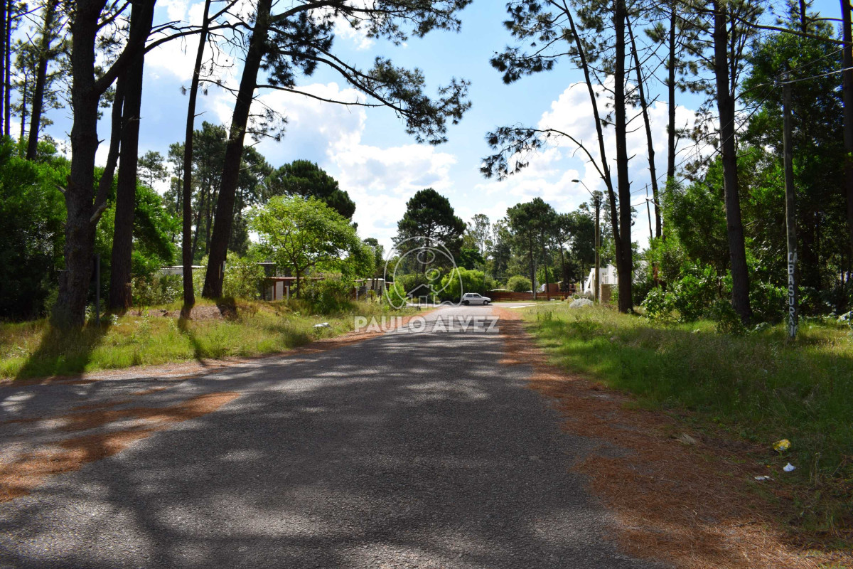 Piriápolis - GoPunta - Portal Inmobiliario de Punta del Este - Maldonado
