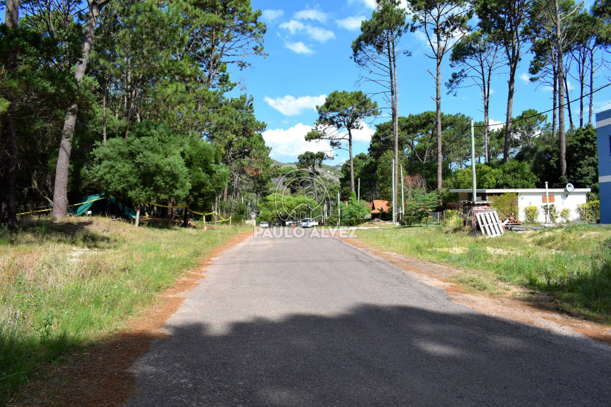 Piriápolis - GoPunta - Portal Inmobiliario de Punta del Este - Maldonado