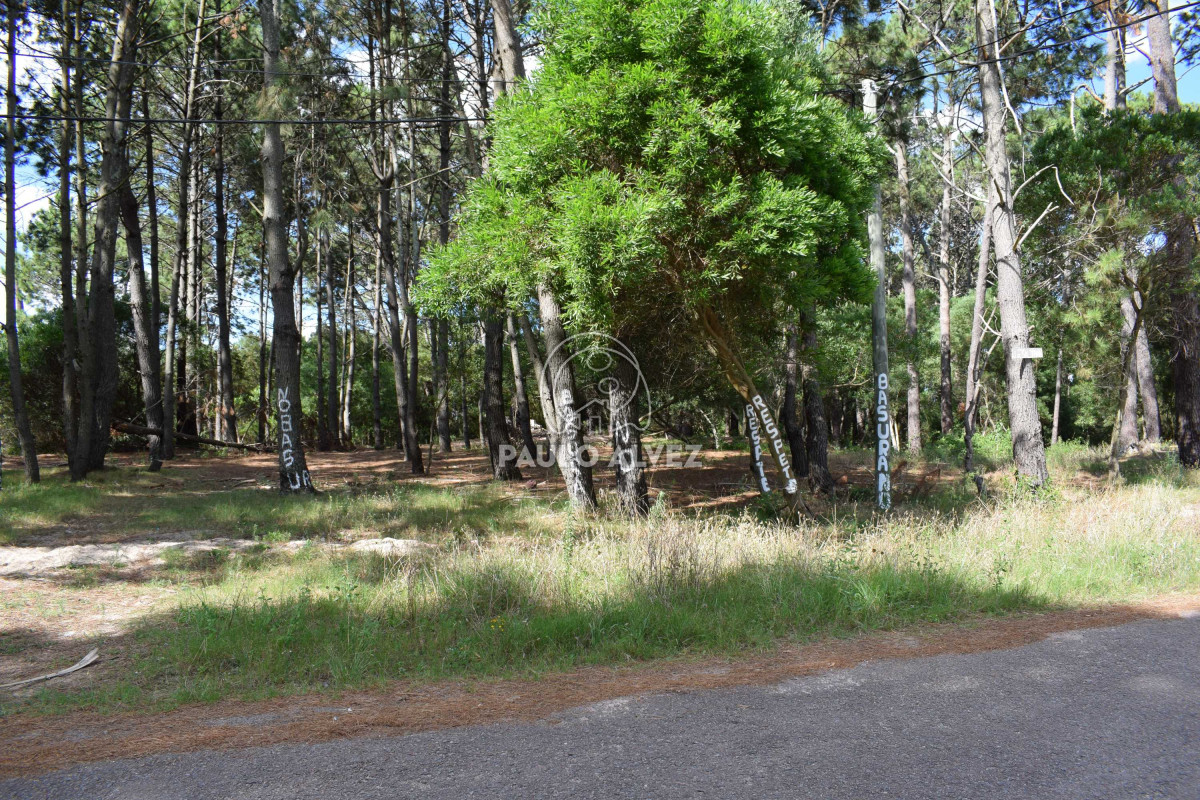 Piriápolis - GoPunta - Portal Inmobiliario de Punta del Este - Maldonado