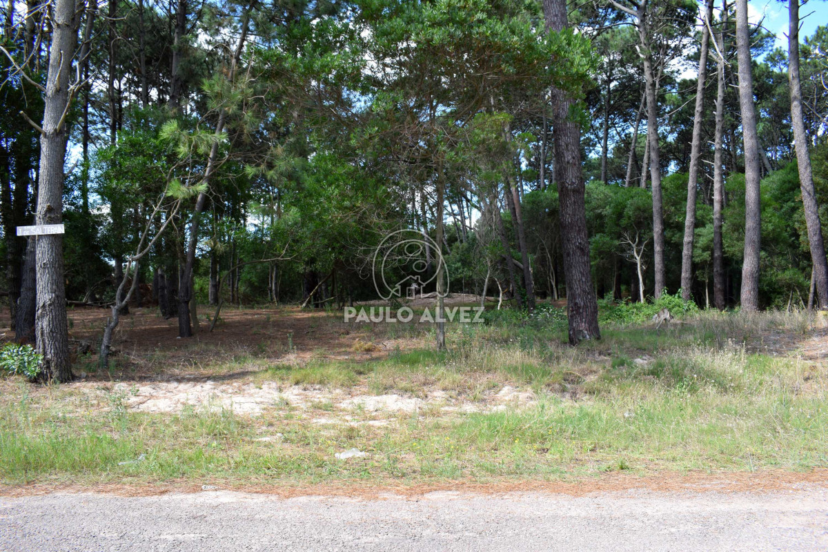 Piriápolis - GoPunta - Portal Inmobiliario de Punta del Este - Maldonado