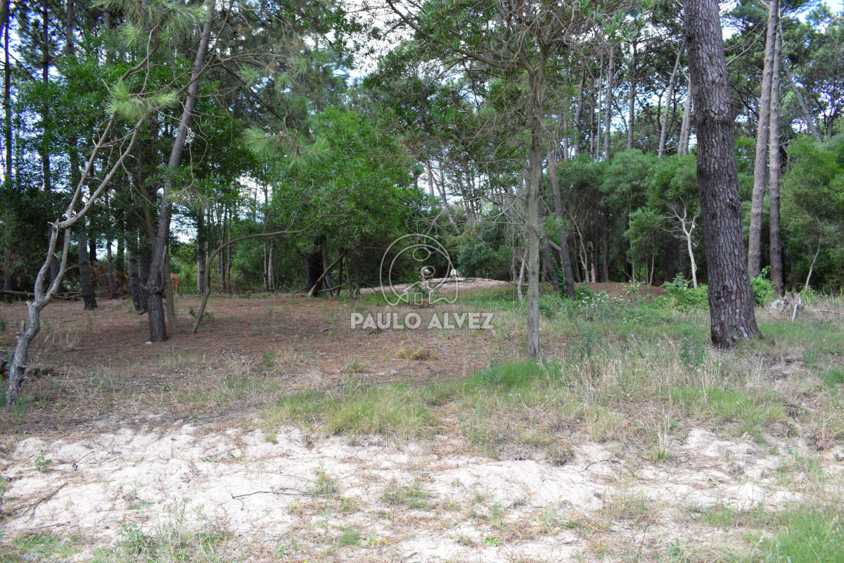 Piriápolis - GoPunta - Portal Inmobiliario de Punta del Este - Maldonado