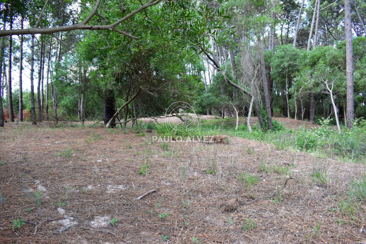Piriápolis - GoPunta - Portal Inmobiliario de Punta del Este - Maldonado