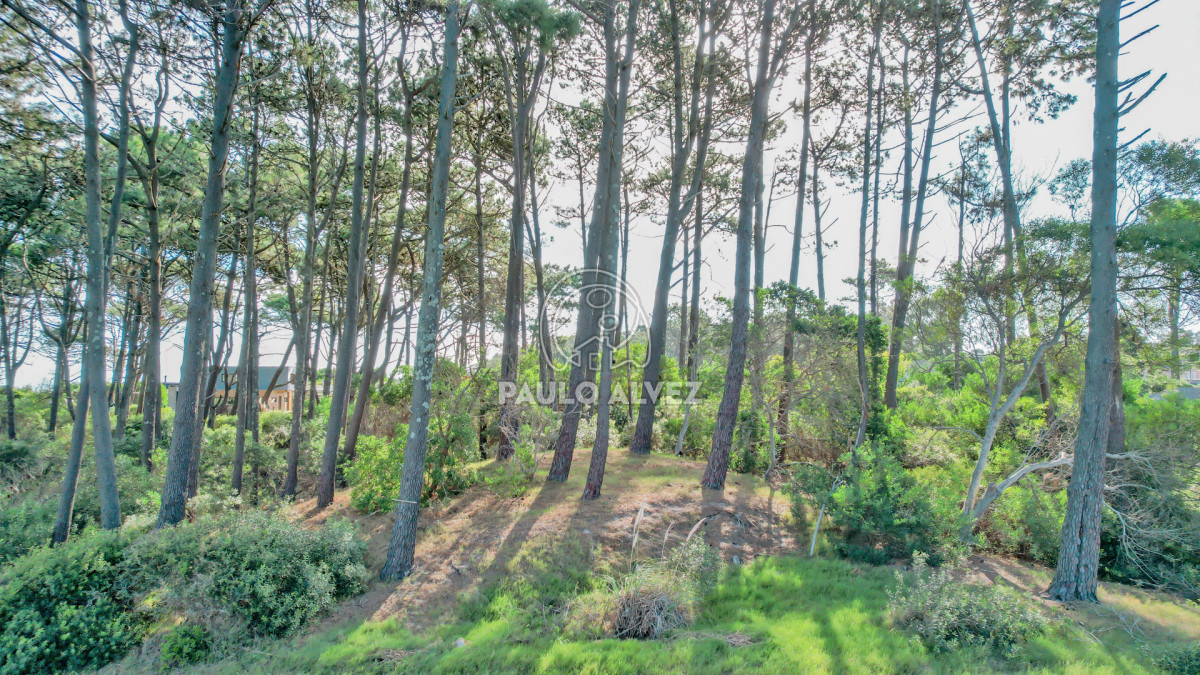 Punta Colorada - GoPunta - Portal Inmobiliario de Punta del Este - Maldonado