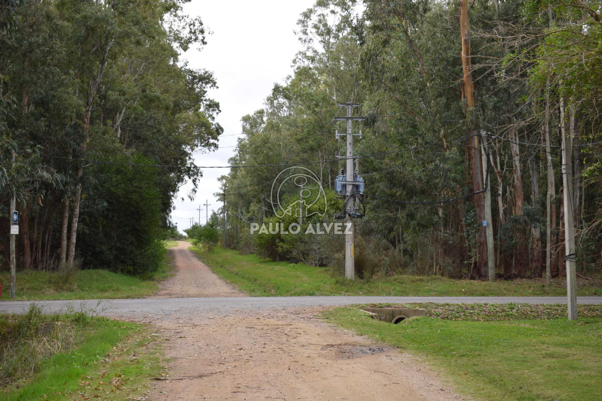 Bella Vista - GoPunta - Portal Inmobiliario de Punta del Este - Maldonado