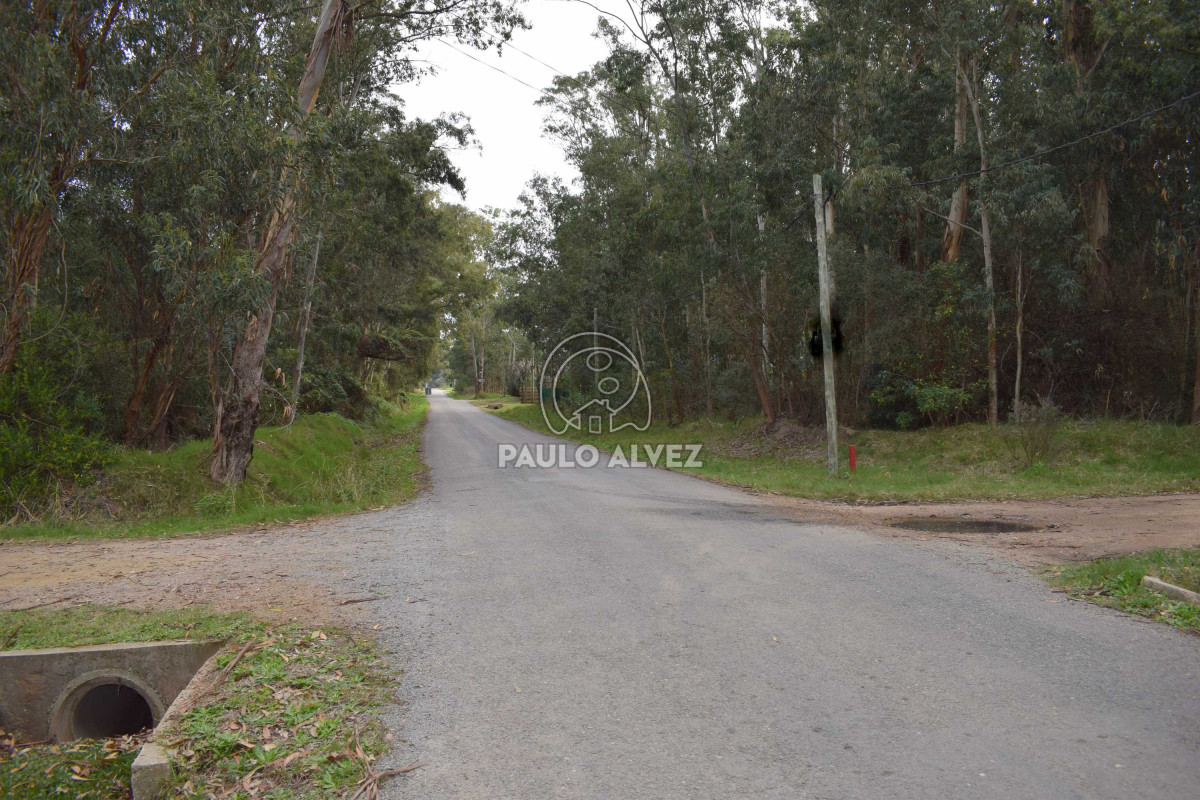 Bella Vista - GoPunta - Portal Inmobiliario de Punta del Este - Maldonado