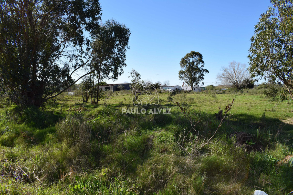 Piriápolis - GoPunta - Portal Inmobiliario de Punta del Este - Maldonado