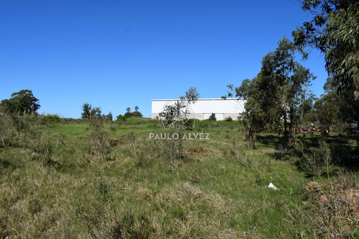 Piriápolis - GoPunta - Portal Inmobiliario de Punta del Este - Maldonado