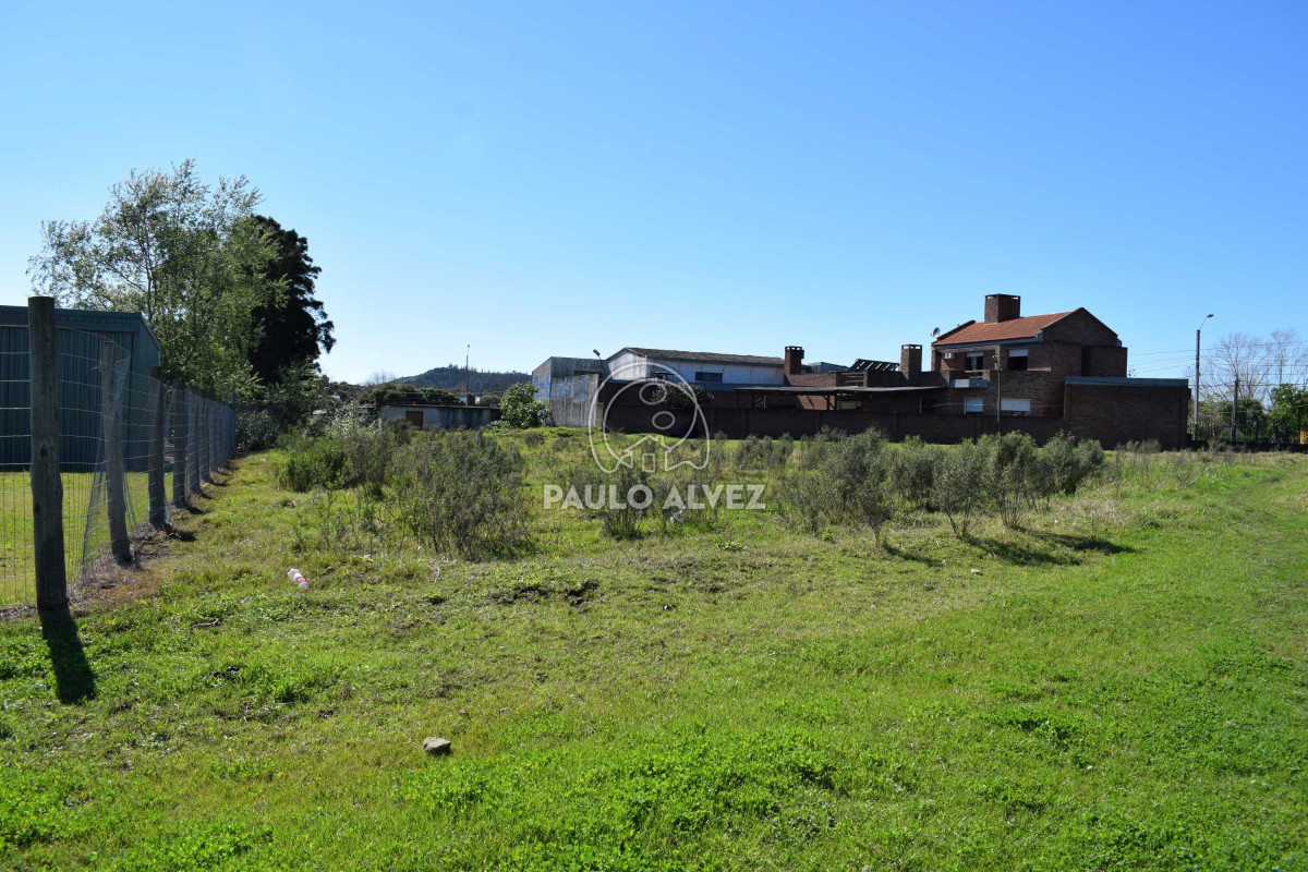 Piriápolis - GoPunta - Portal Inmobiliario de Punta del Este - Maldonado