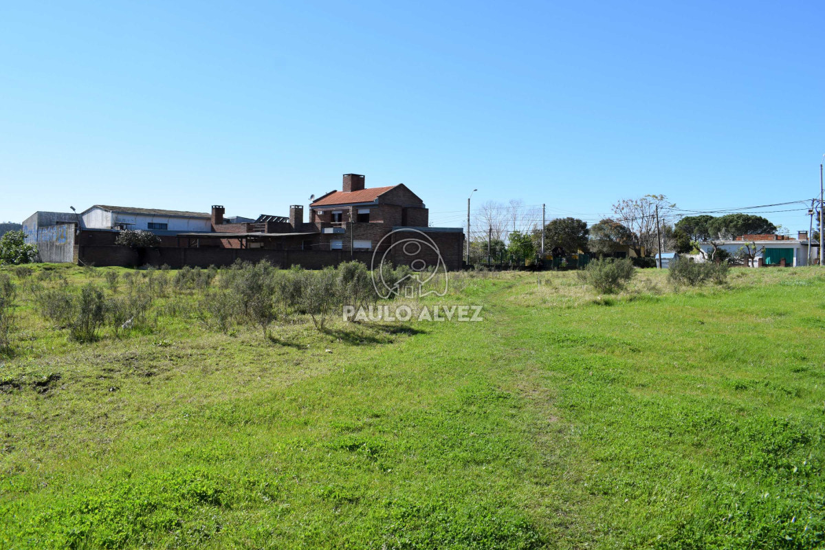 Piriápolis - GoPunta - Portal Inmobiliario de Punta del Este - Maldonado
