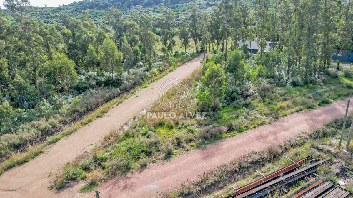 Punta Colorada - GoPunta - Portal Inmobiliario de Punta del Este - Maldonado