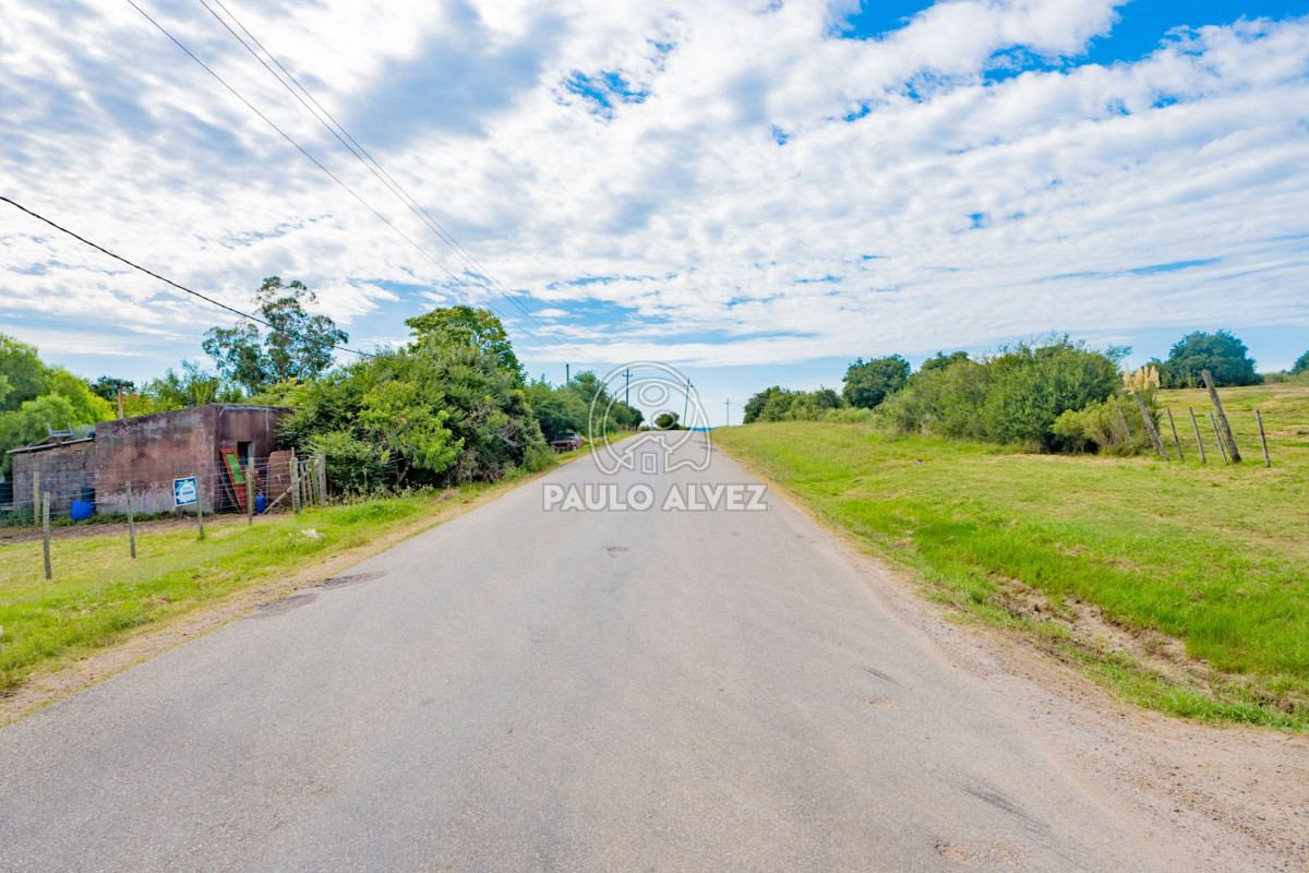 Gerona - GoPunta - Portal Inmobiliario de Punta del Este - Maldonado