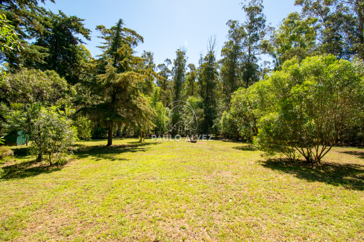 Bella Vista - GoPunta - Portal Inmobiliario de Punta del Este - Maldonado