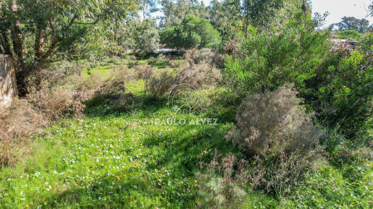 Punta Colorada - GoPunta - Portal Inmobiliario de Punta del Este - Maldonado