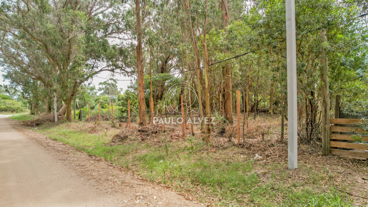 Punta Negra - GoPunta - Portal Inmobiliario de Punta del Este - Maldonado