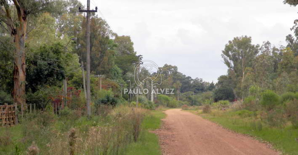 Solis - GoPunta - Portal Inmobiliario de Punta del Este - Maldonado