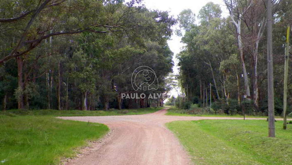 Solis - GoPunta - Portal Inmobiliario de Punta del Este - Maldonado