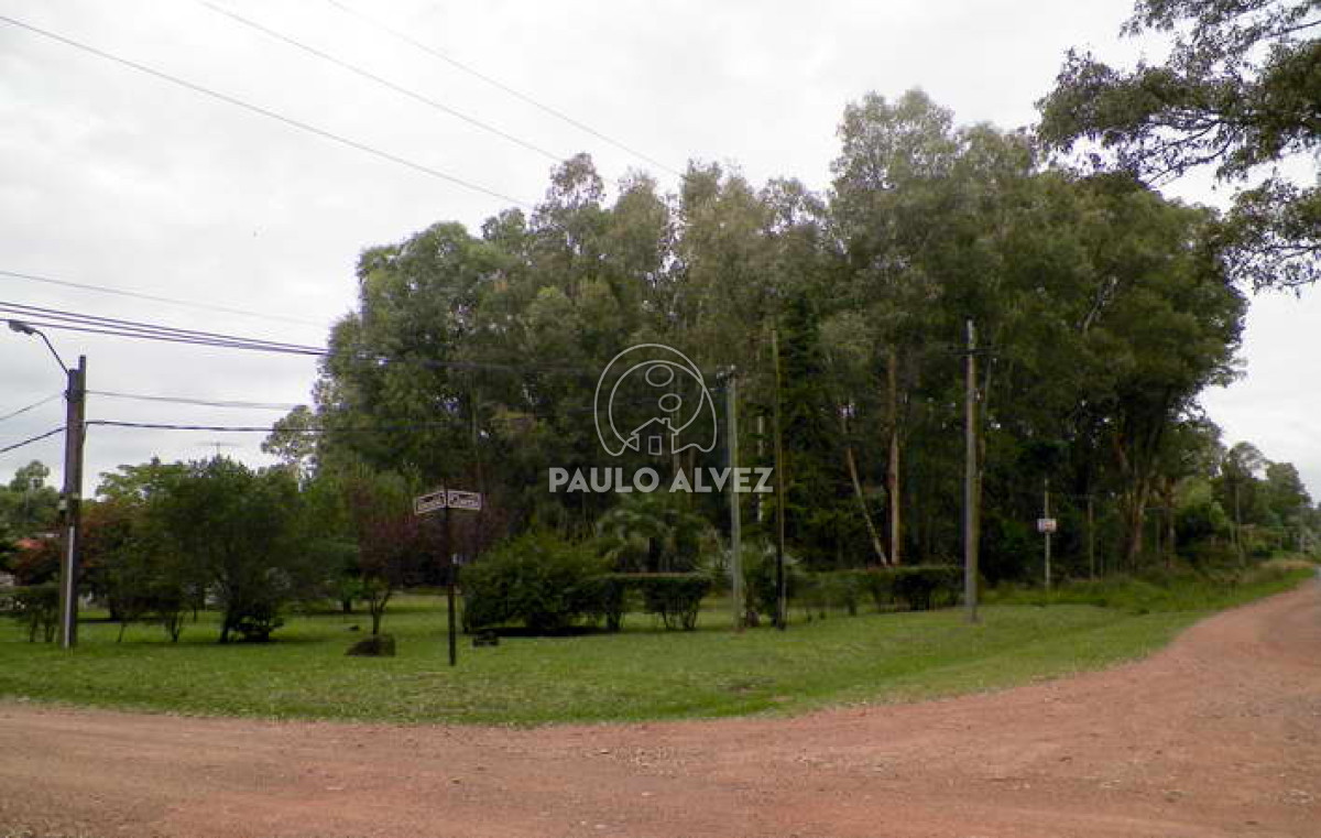Solis - GoPunta - Portal Inmobiliario de Punta del Este - Maldonado