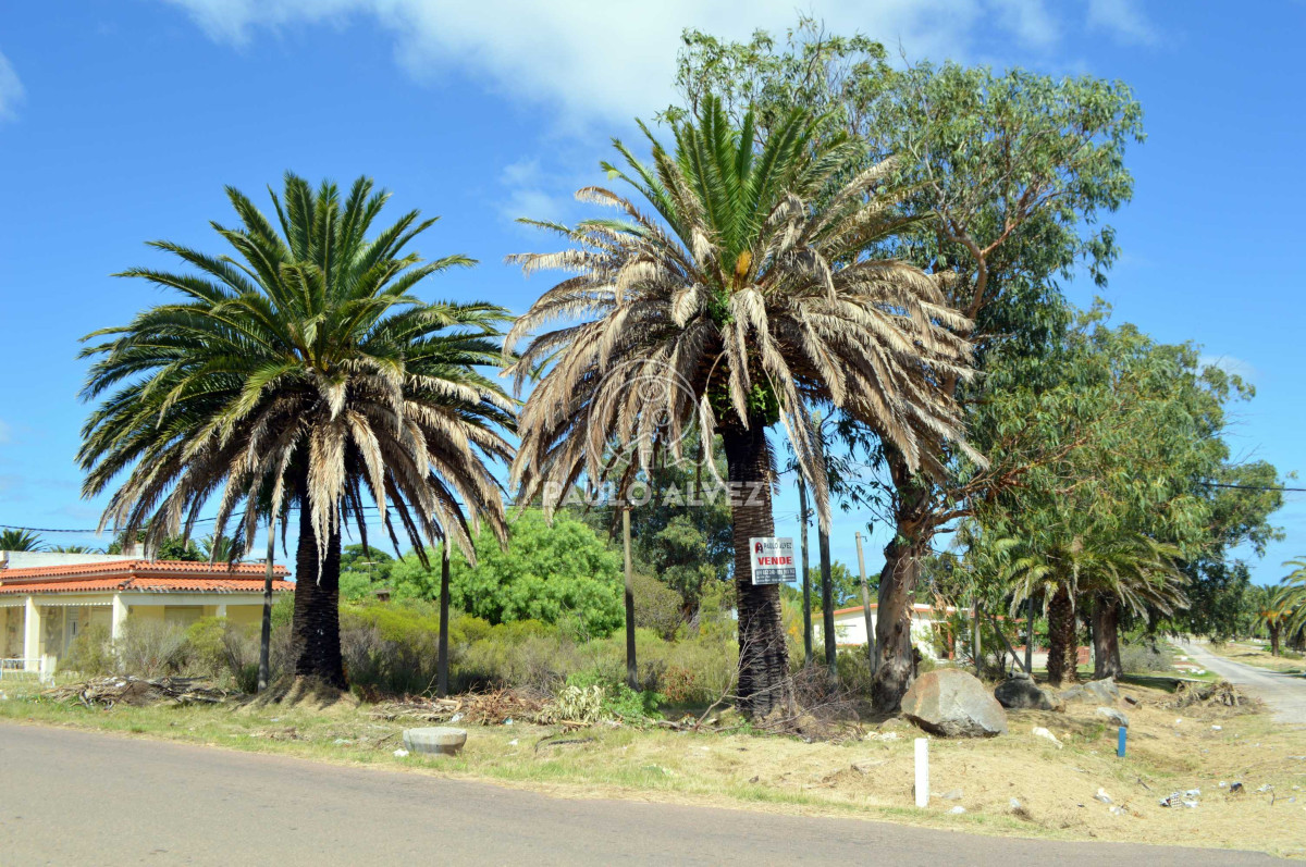 Punta Fria - GoPunta - Portal Inmobiliario de Punta del Este - Maldonado