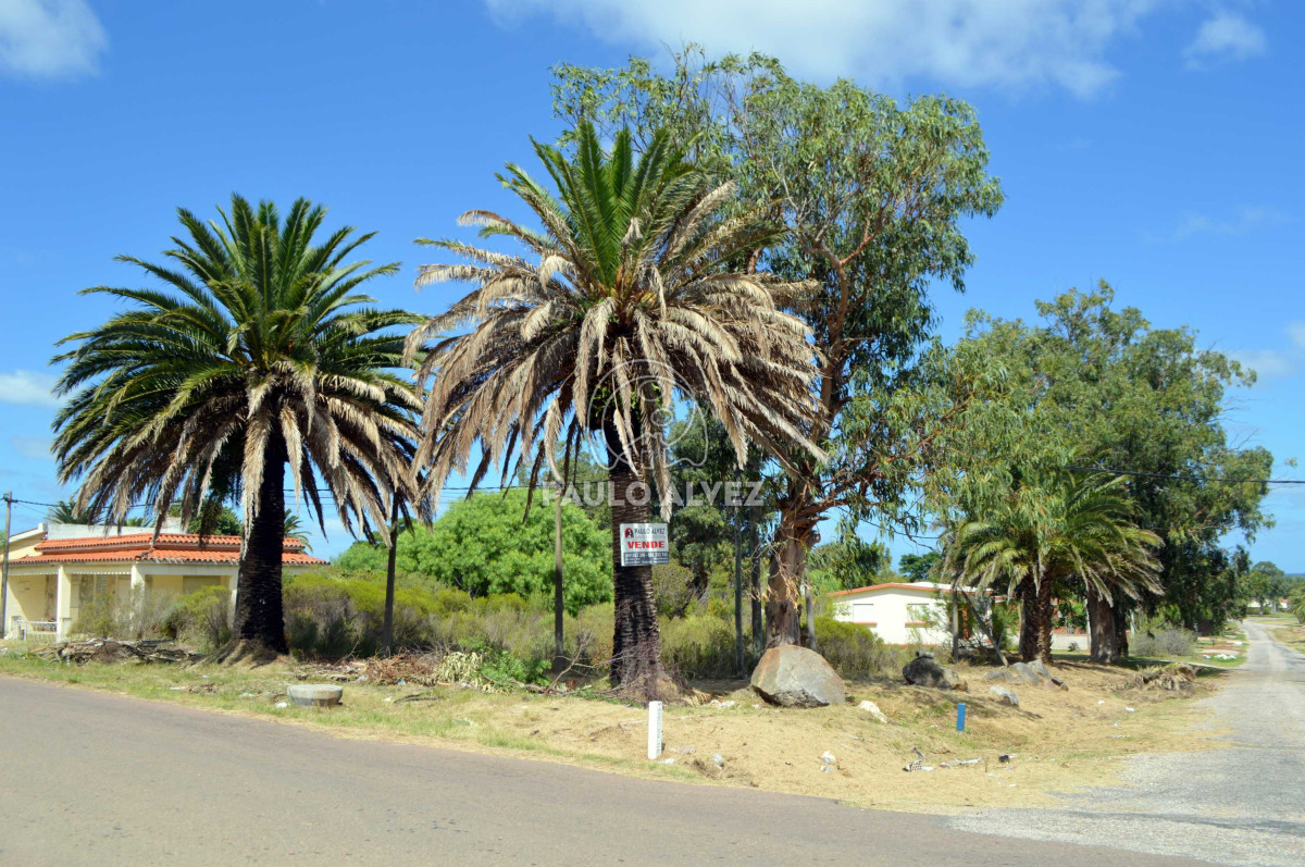 Punta Fria - GoPunta - Portal Inmobiliario de Punta del Este - Maldonado