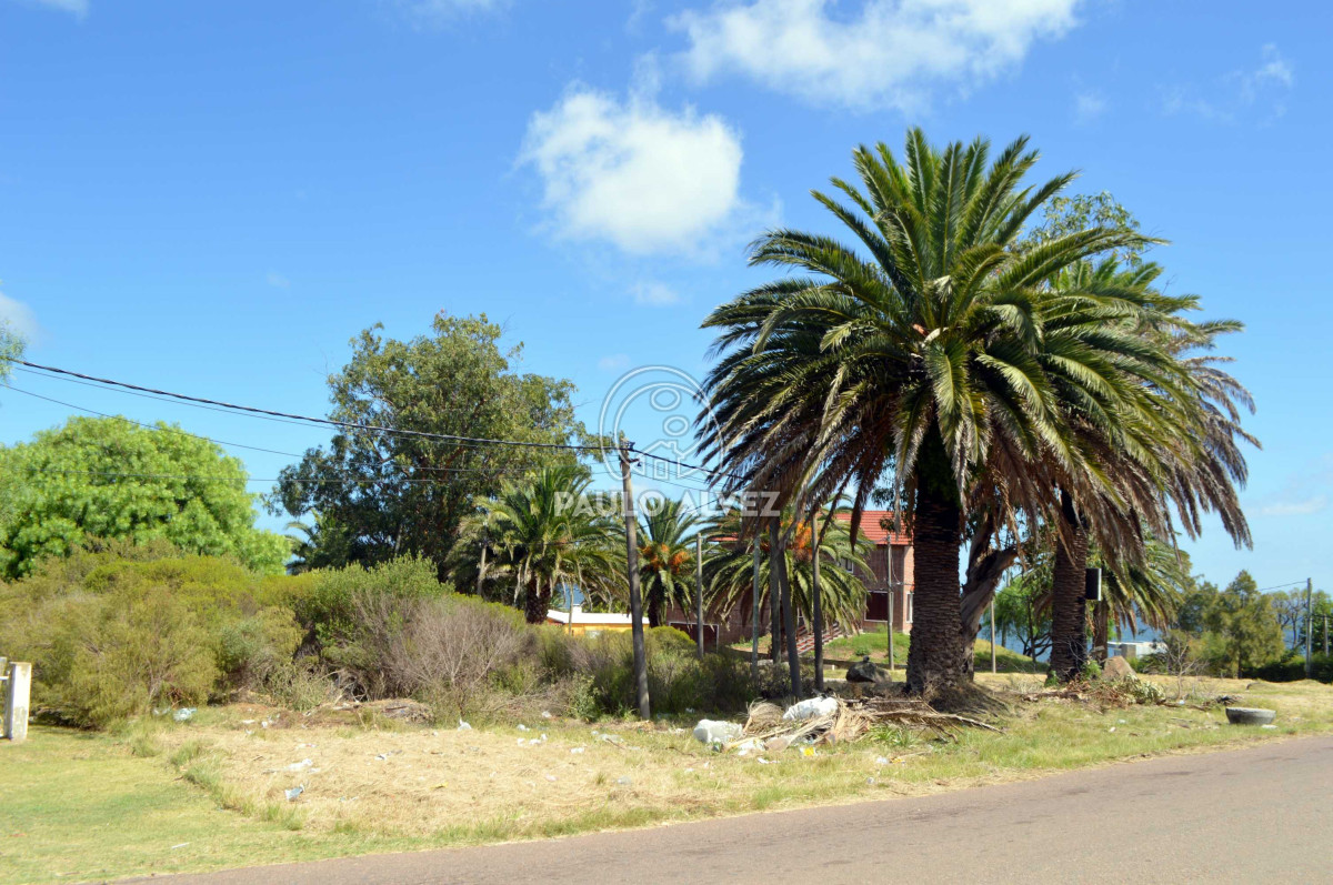 Punta Fria - GoPunta - Portal Inmobiliario de Punta del Este - Maldonado