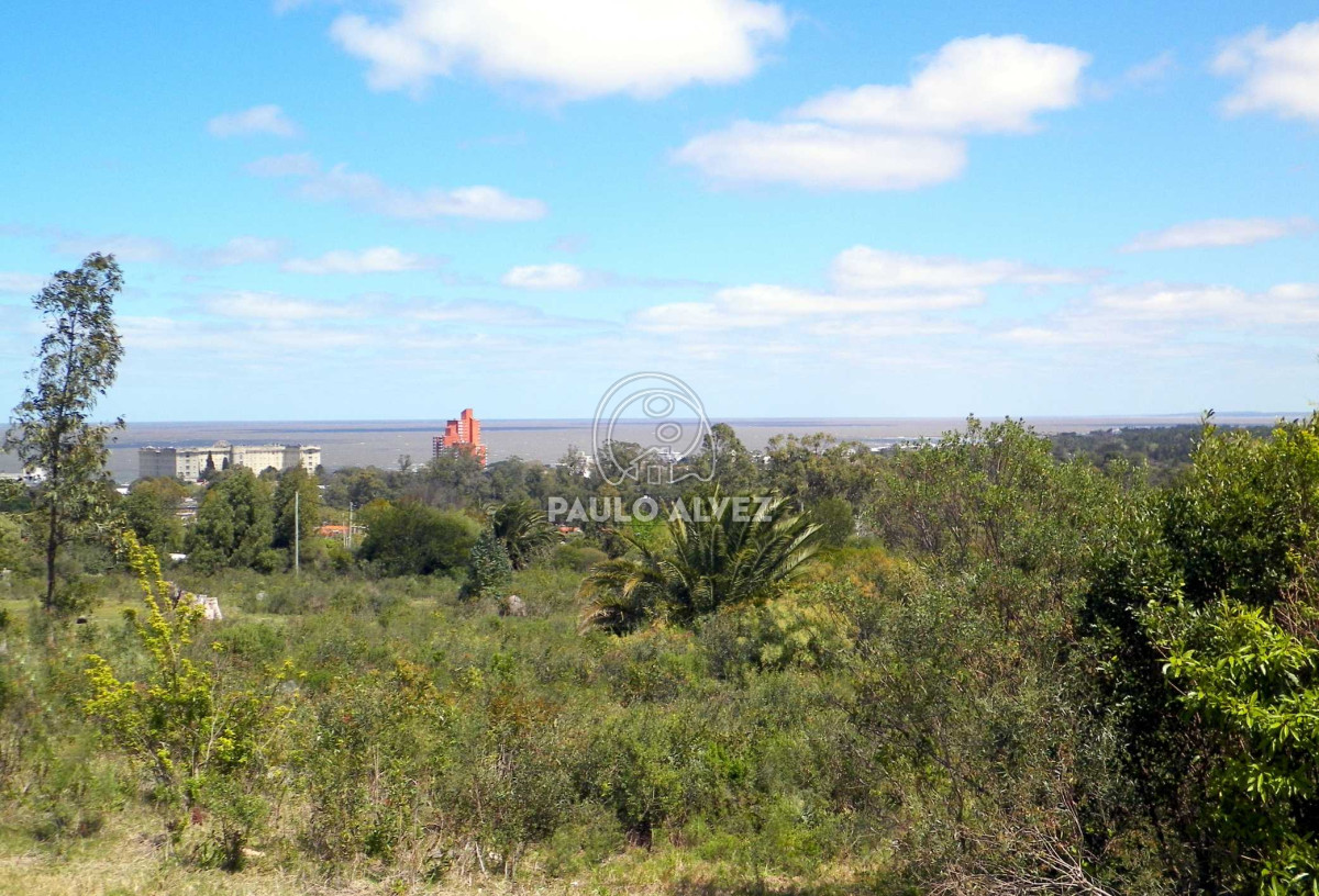 Piriápolis - GoPunta - Portal Inmobiliario de Punta del Este - Maldonado