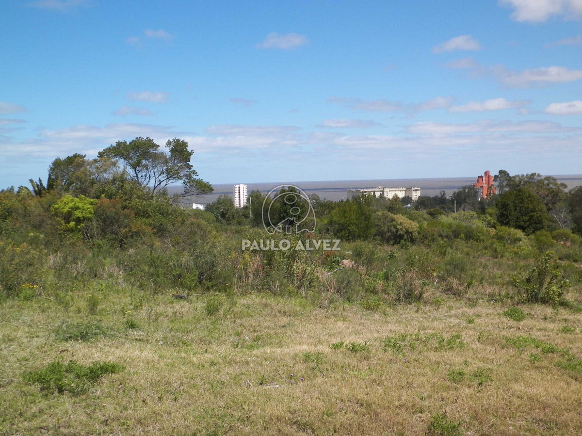 Piriápolis - GoPunta - Portal Inmobiliario de Punta del Este - Maldonado