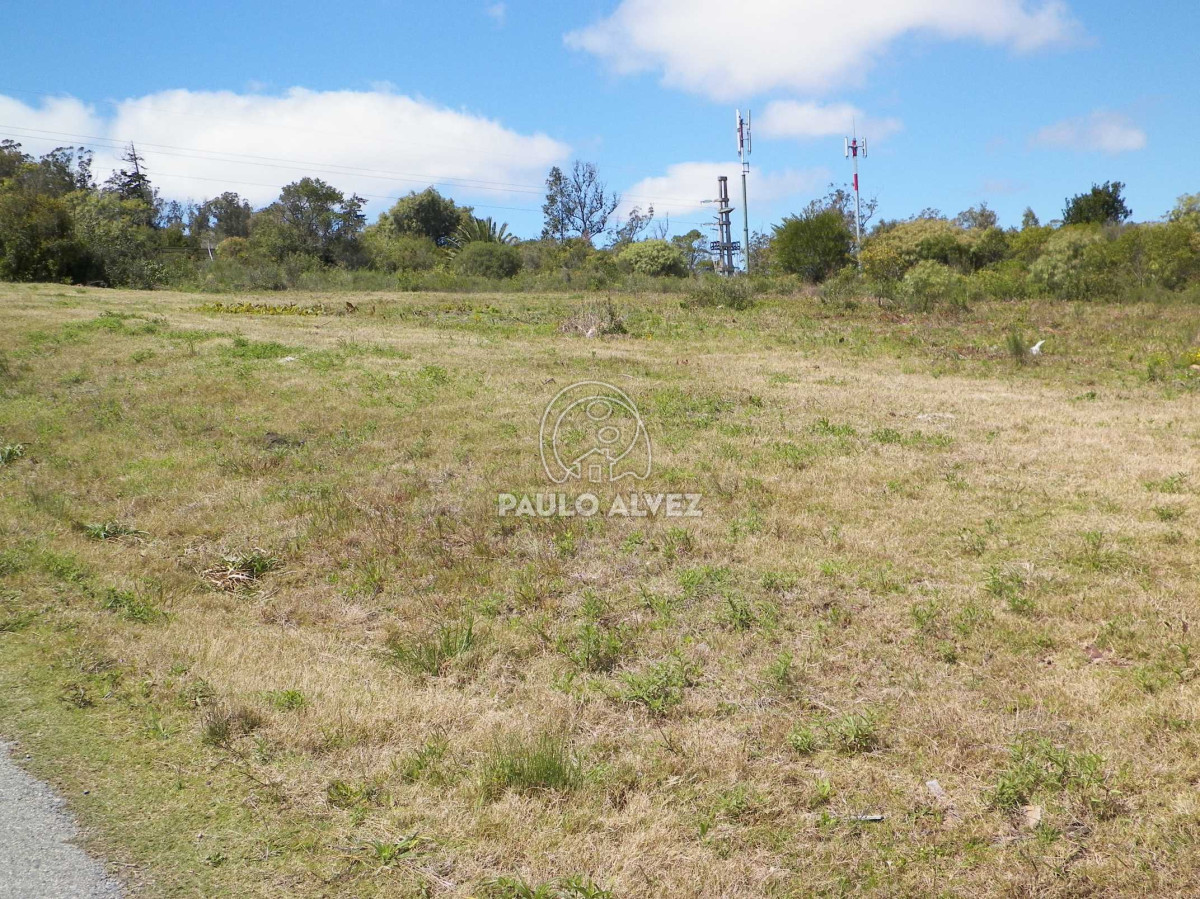 Piriápolis - GoPunta - Portal Inmobiliario de Punta del Este - Maldonado