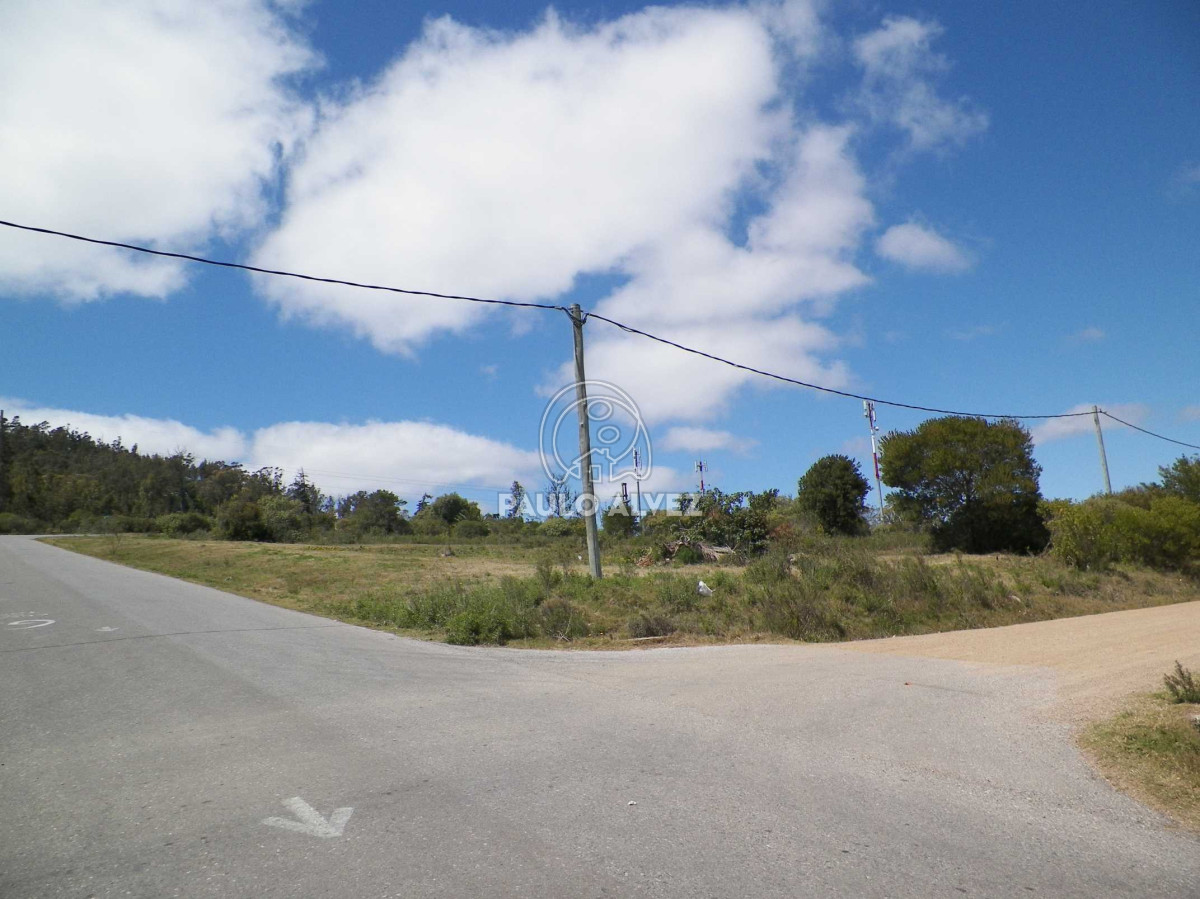 Piriápolis - GoPunta - Portal Inmobiliario de Punta del Este - Maldonado