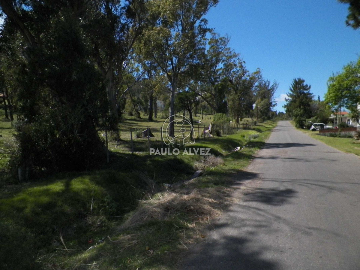 Piriápolis - GoPunta - Portal Inmobiliario de Punta del Este - Maldonado