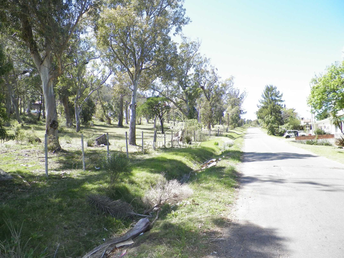 Piriápolis - GoPunta - Portal Inmobiliario de Punta del Este - Maldonado