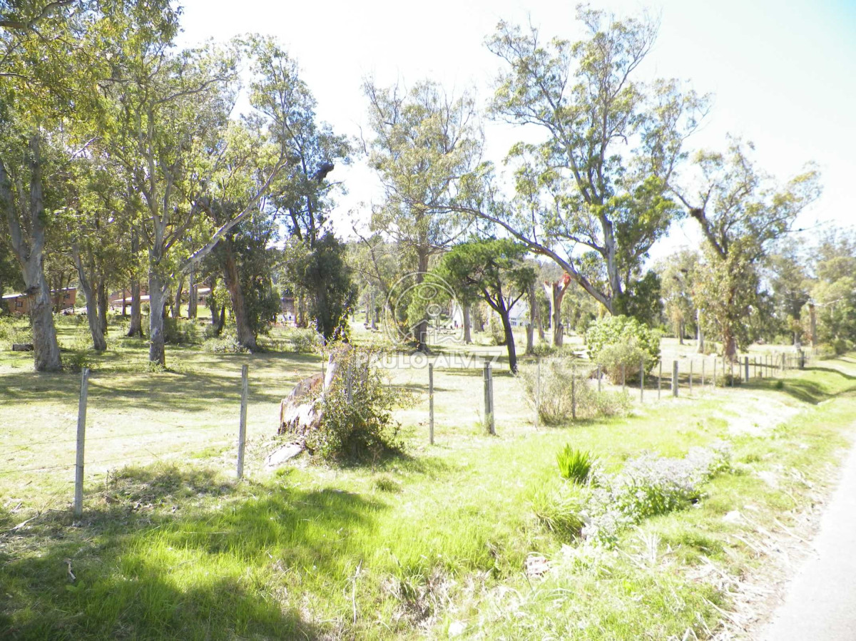 Piriápolis - GoPunta - Portal Inmobiliario de Punta del Este - Maldonado