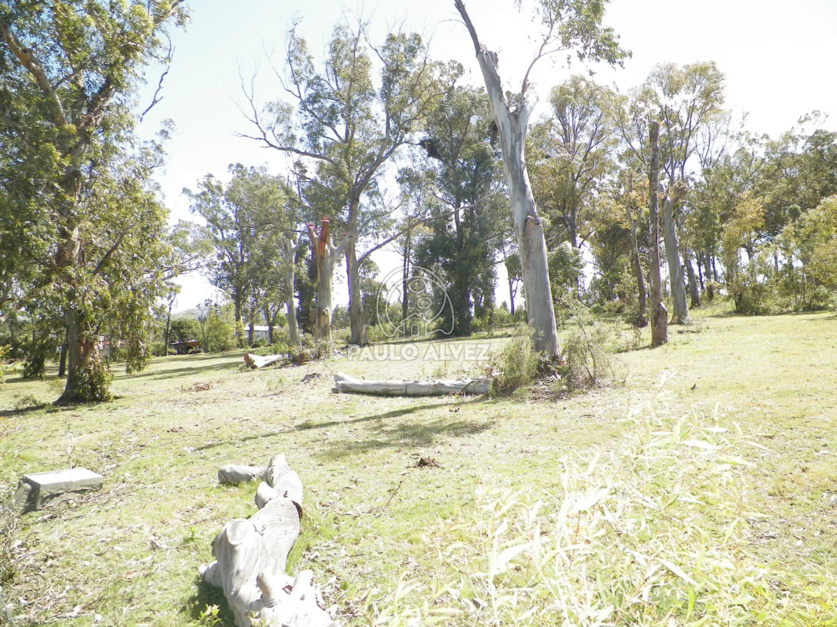 Piriápolis - GoPunta - Portal Inmobiliario de Punta del Este - Maldonado