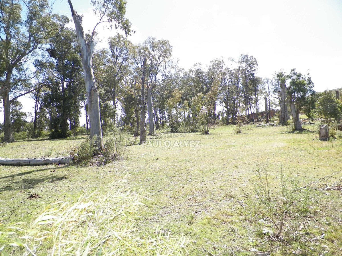 Piriápolis - GoPunta - Portal Inmobiliario de Punta del Este - Maldonado