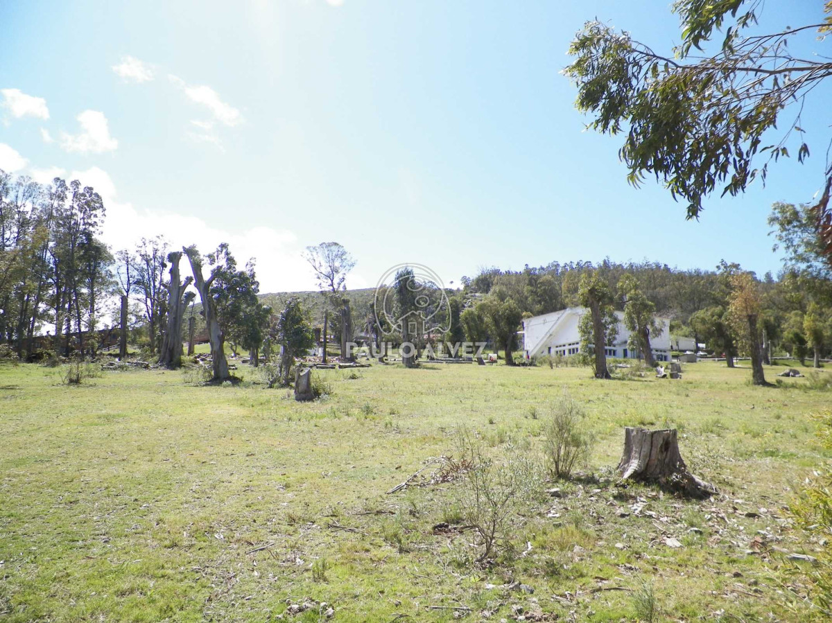 Piriápolis - GoPunta - Portal Inmobiliario de Punta del Este - Maldonado