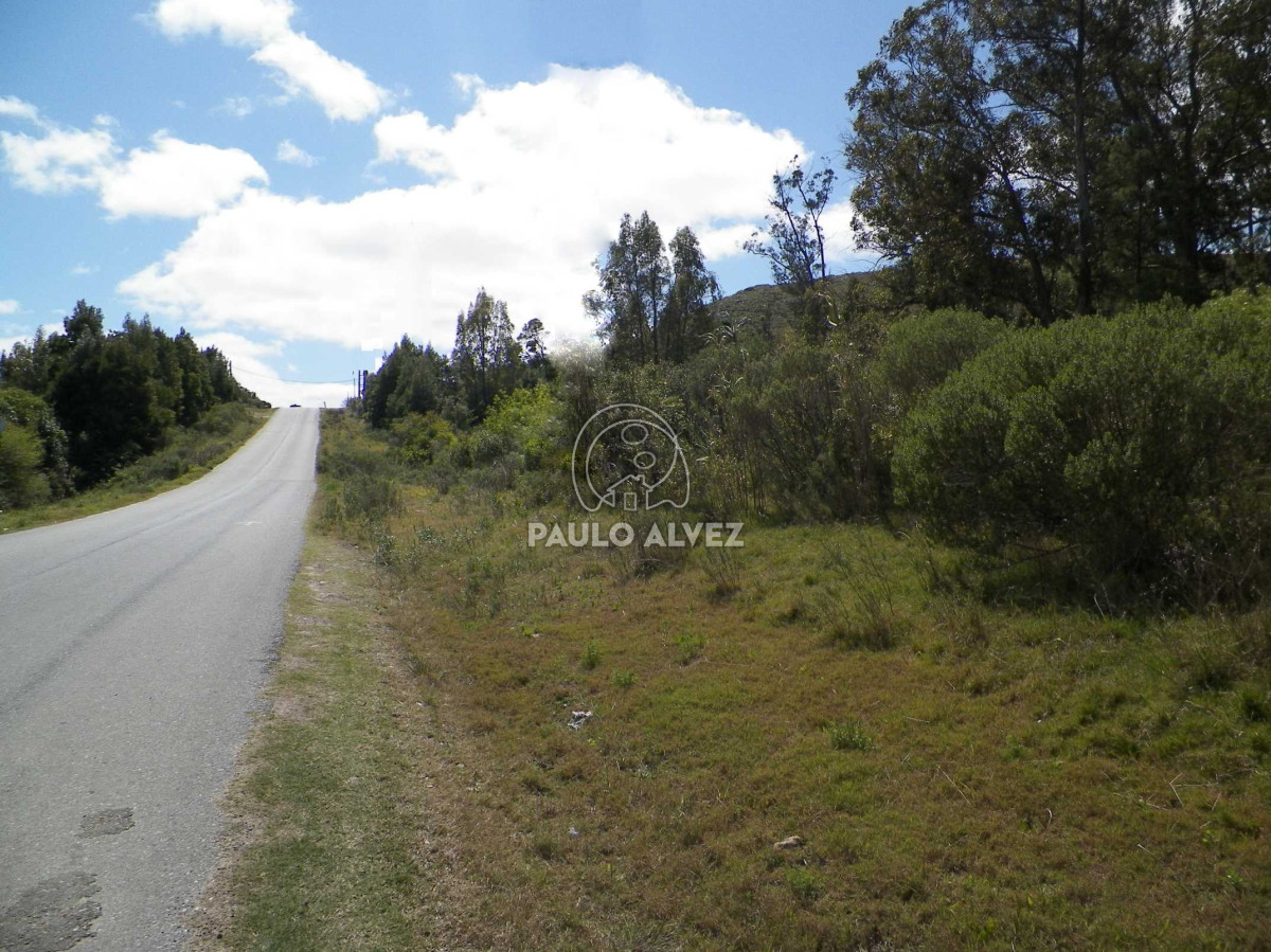 Piriápolis - GoPunta - Portal Inmobiliario de Punta del Este - Maldonado