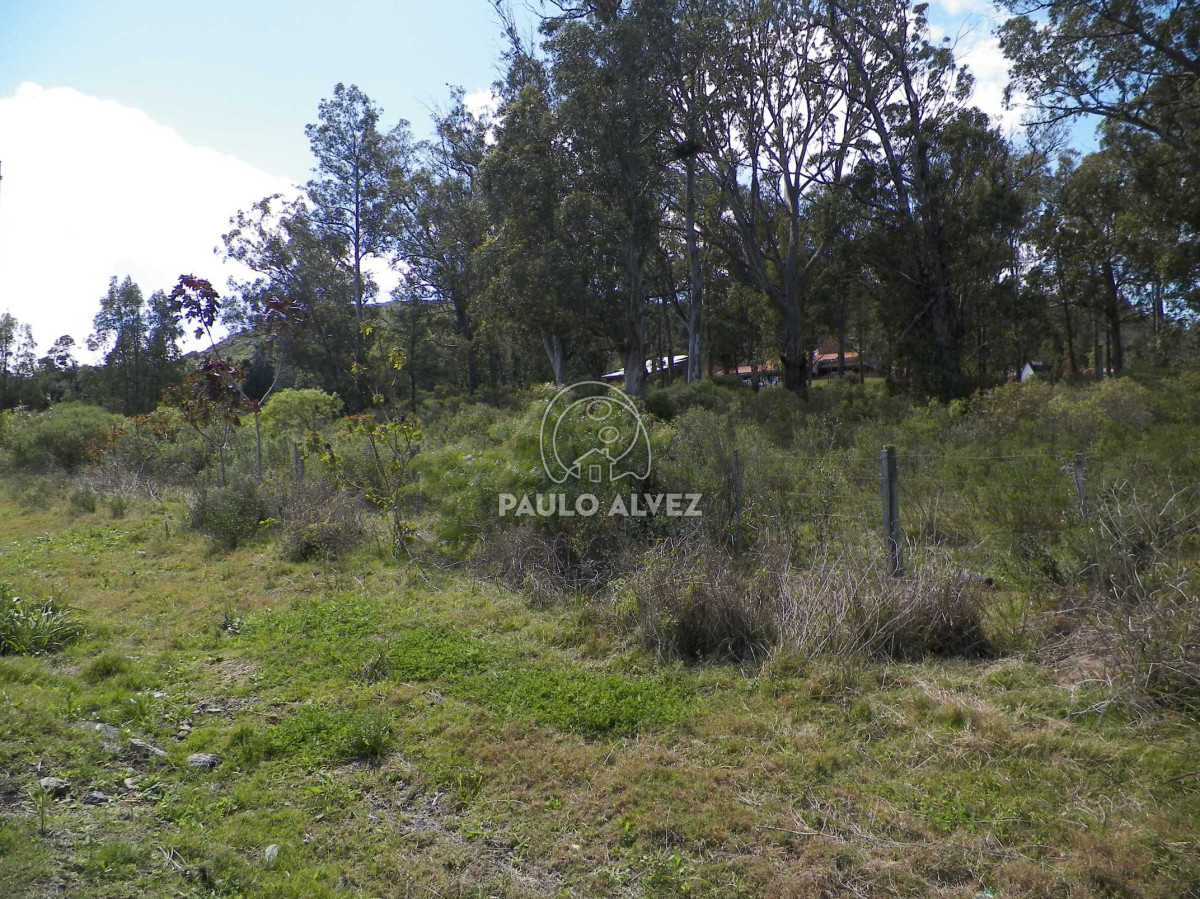 Piriápolis - GoPunta - Portal Inmobiliario de Punta del Este - Maldonado