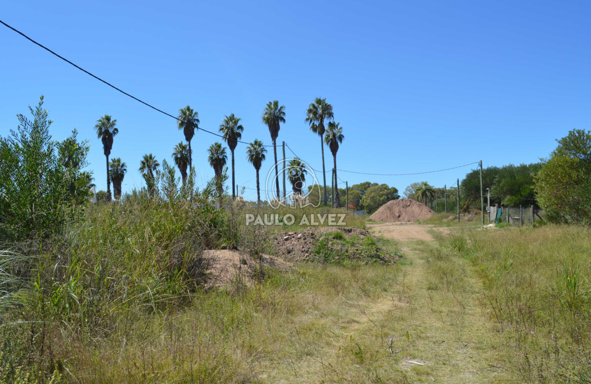 Maldonado - GoPunta - Portal Inmobiliario de Punta del Este - Maldonado