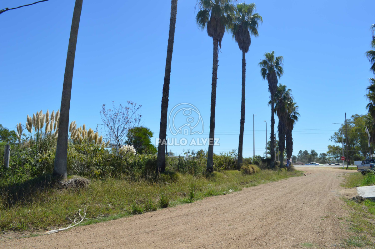Maldonado - GoPunta - Portal Inmobiliario de Punta del Este - Maldonado