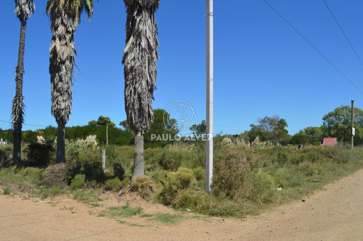 Maldonado - GoPunta - Portal Inmobiliario de Punta del Este - Maldonado
