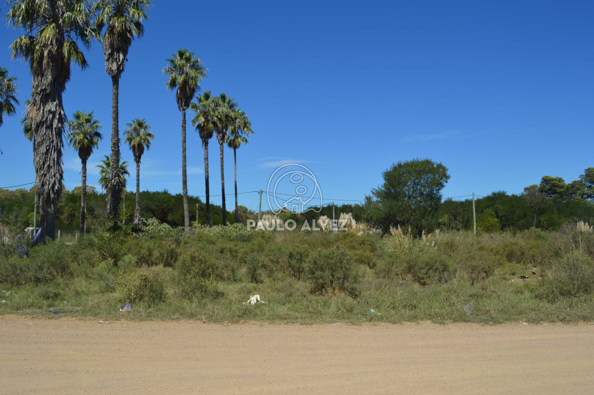 Maldonado - GoPunta - Portal Inmobiliario de Punta del Este - Maldonado