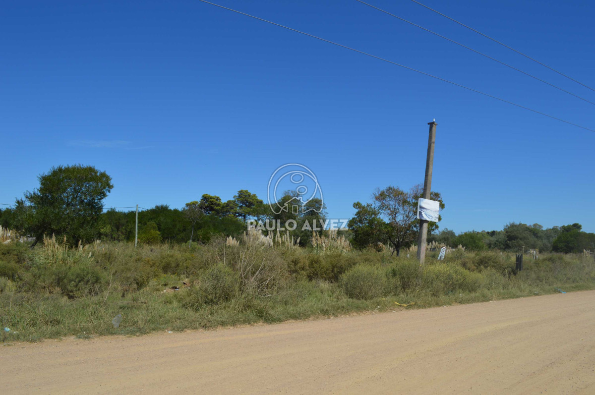 Maldonado - GoPunta - Portal Inmobiliario de Punta del Este - Maldonado