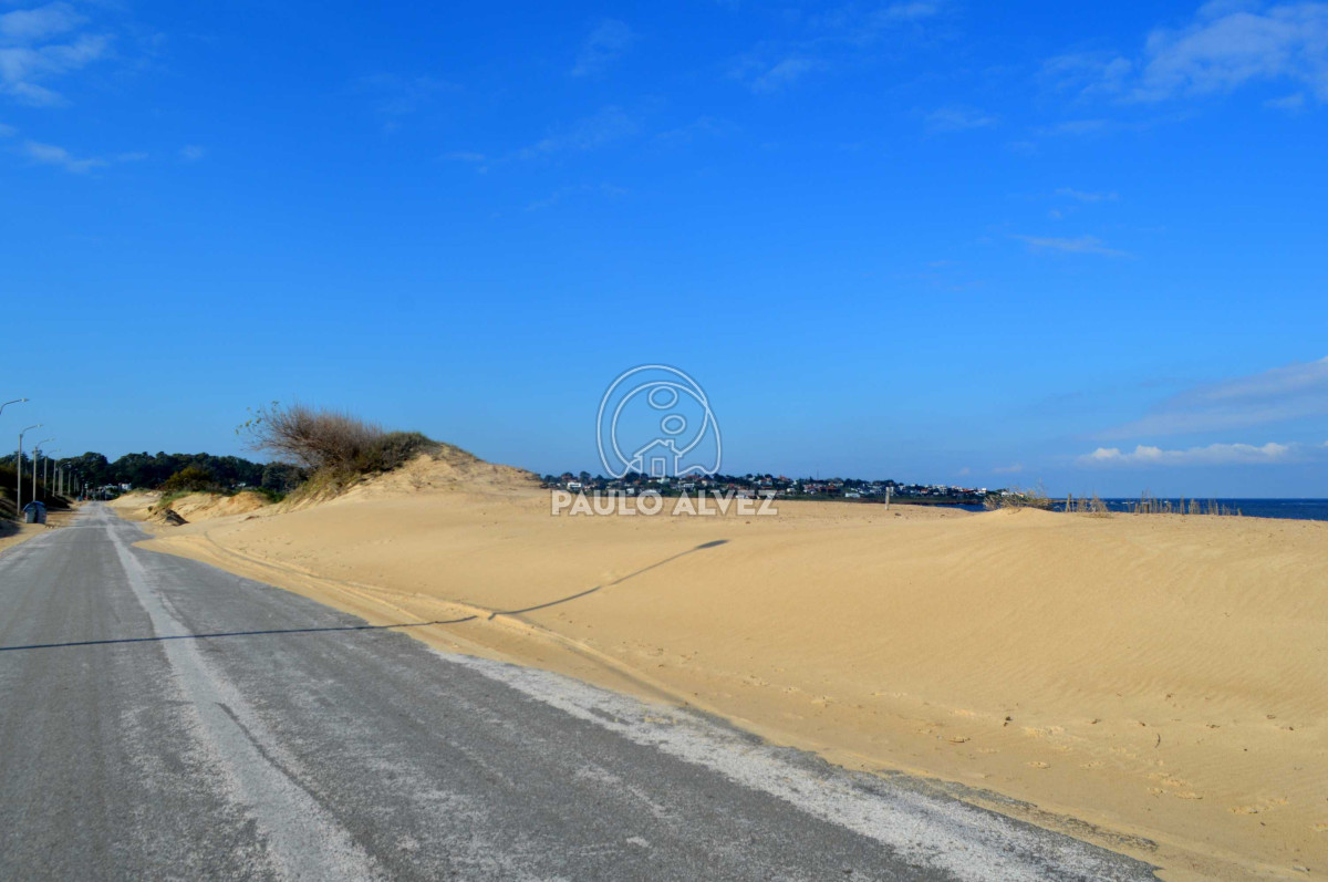 San Francisco - GoPunta - Portal Inmobiliario de Punta del Este - Maldonado