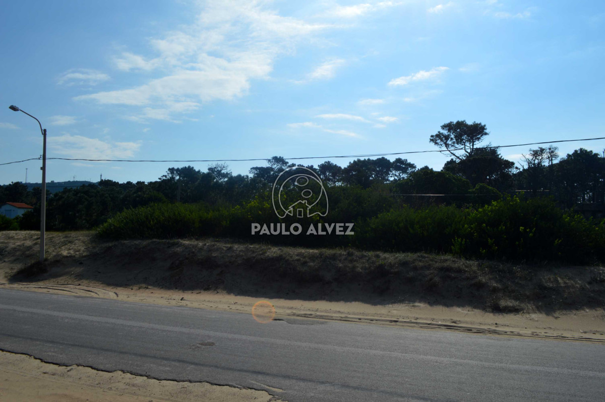 San Francisco - GoPunta - Portal Inmobiliario de Punta del Este - Maldonado