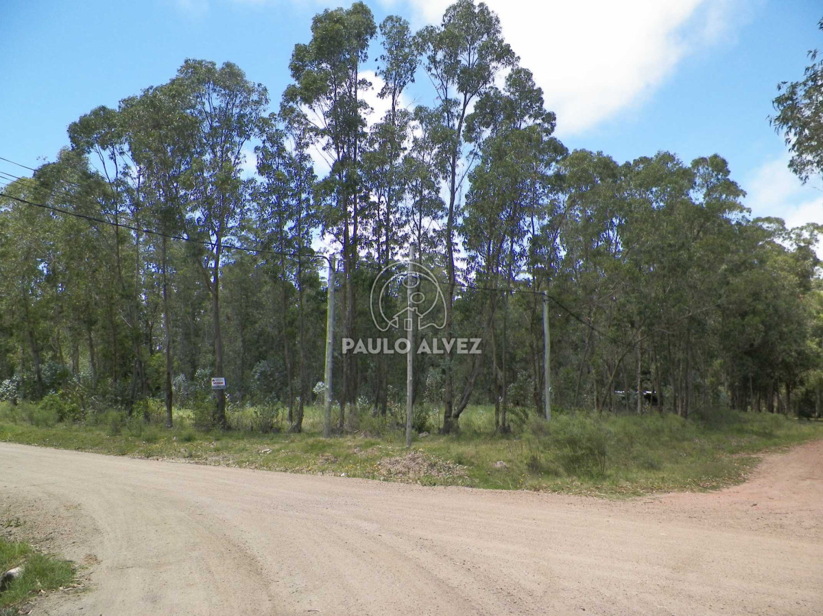 Bella Vista - GoPunta - Portal Inmobiliario de Punta del Este - Maldonado