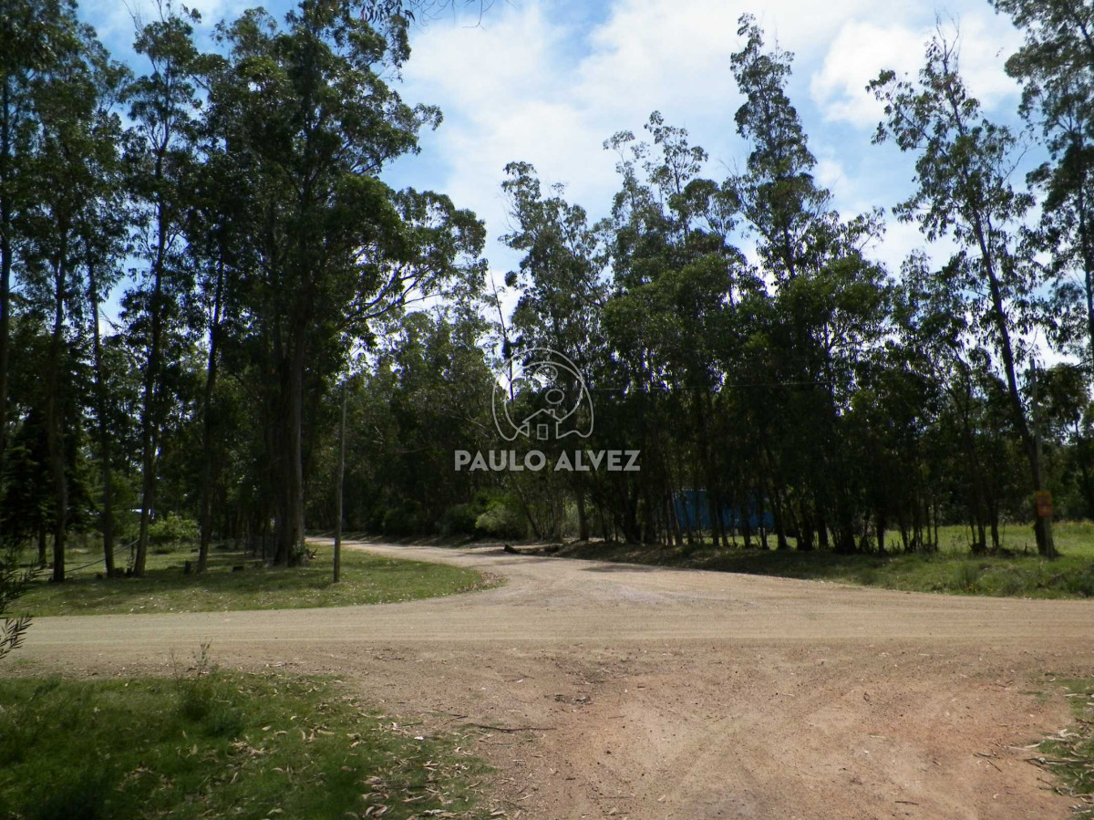 Bella Vista - GoPunta - Portal Inmobiliario de Punta del Este - Maldonado
