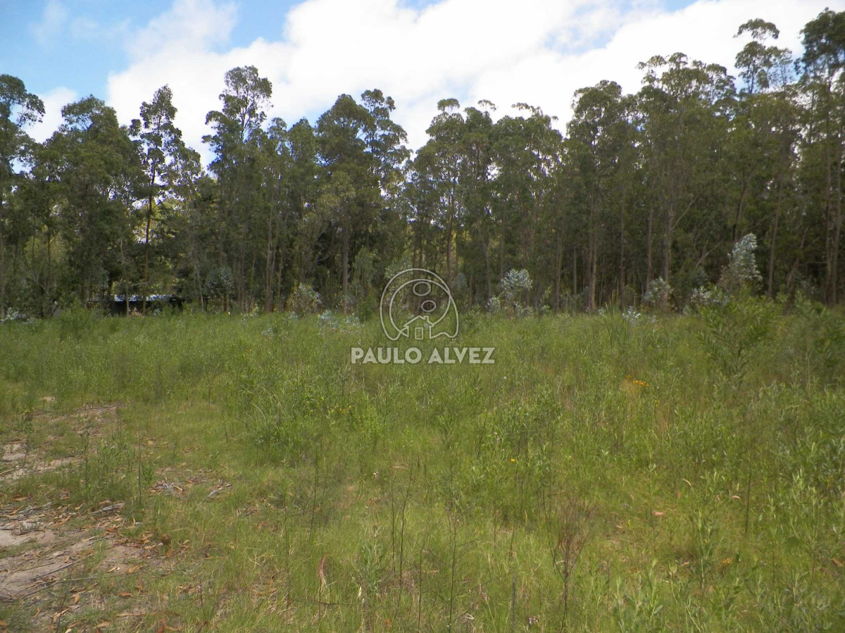 Bella Vista - GoPunta - Portal Inmobiliario de Punta del Este - Maldonado