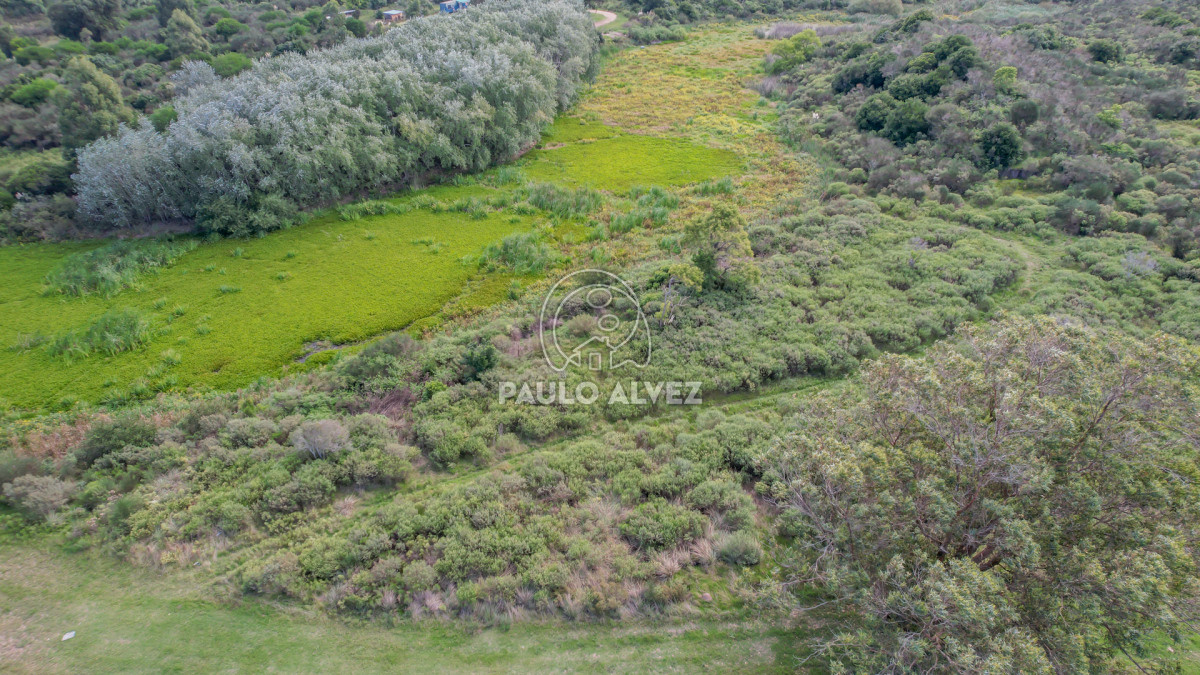 Barra Portezuelo - GoPunta - Portal Inmobiliario de Punta del Este - Maldonado