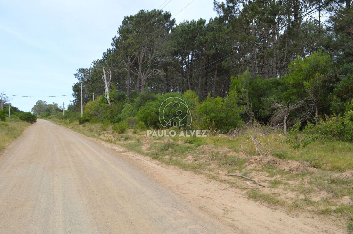 Punta Colorada - GoPunta - Portal Inmobiliario de Punta del Este - Maldonado