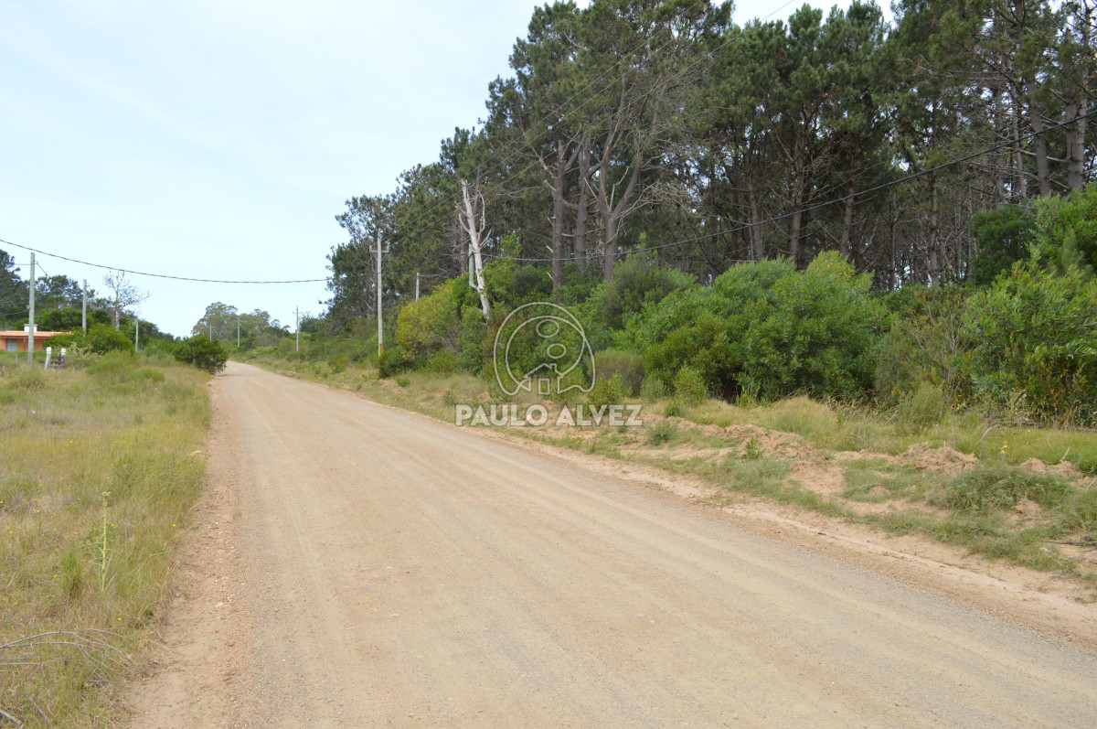Punta Colorada - GoPunta - Portal Inmobiliario de Punta del Este - Maldonado